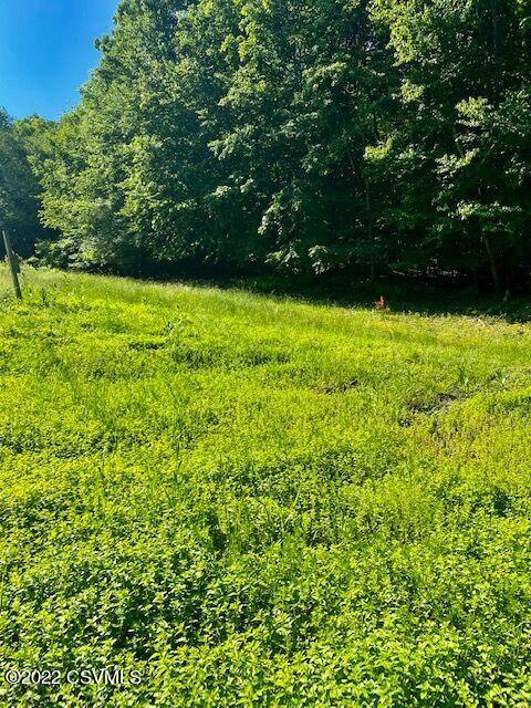 272 Shickshinny Valley Road Shickshinny, PA 18655 - Photo 4 of 14 Gallery Image 4