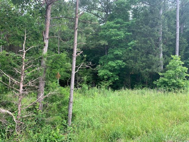 0 Northeast Old Johnson Road Cleveland, TN 37323 - Photo 1 of 4 IMG_1223