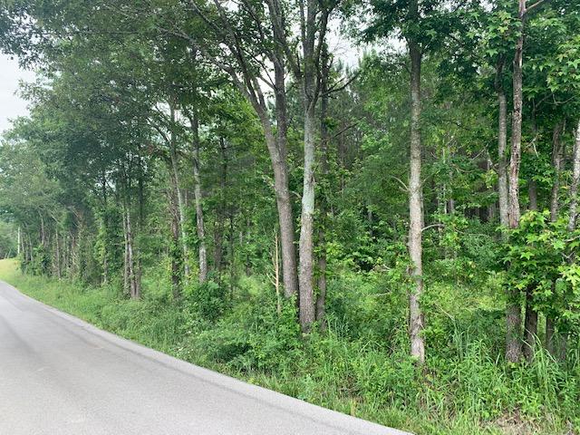 0 Northeast Old Johnson Road Cleveland, TN 37323 - Photo 2 of 4 IMG_1224