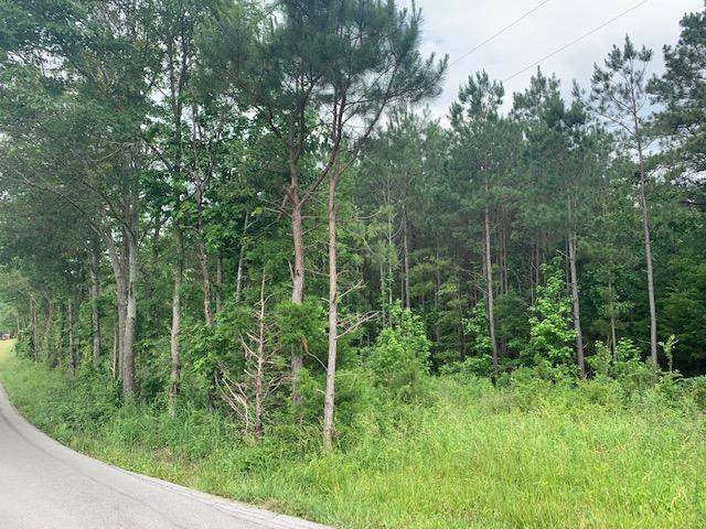 0 Northeast Old Johnson Road Cleveland, TN 37323 - Photo 4 of 4 IMG_1226