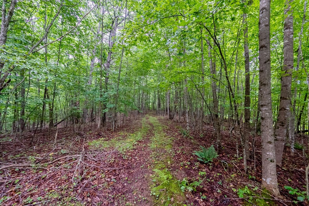 Tbd Hemlock Ridge Road Hillsville, VA 24343 - Photo 42 of 42 Gallery Image 42