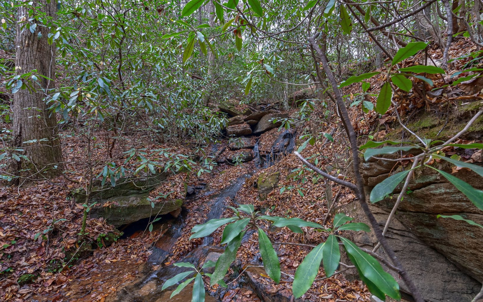 2015 Old Parker Pl Road Ellijay, GA 30536 - Photo 54 of 65 Additional View