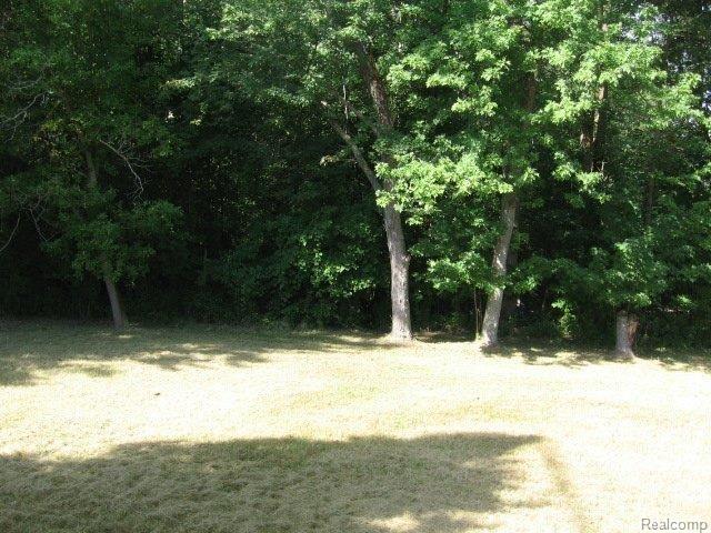 1370 South Van Dyke Road Decker, MI 48426 - Photo 11 of 12 1370_S._Van_Dyke_(19)