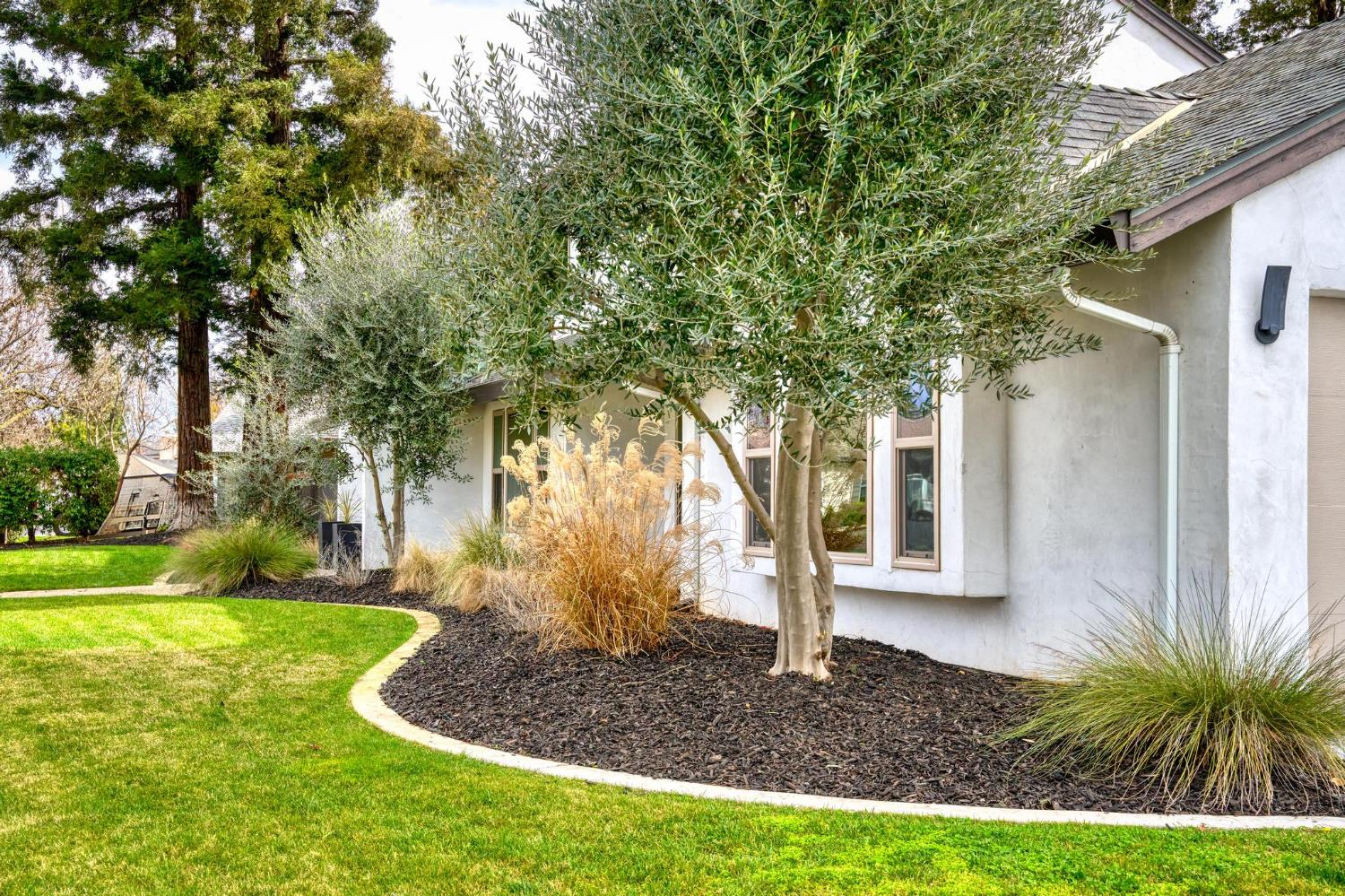 2228 Cheyenne Way Modesto, CA 95356 - Photo 9 of 54