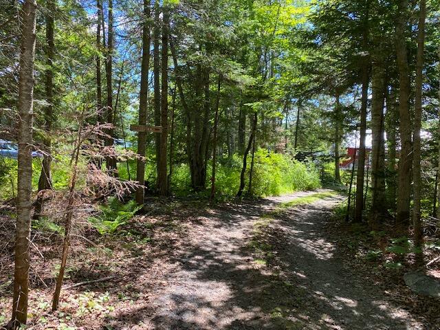 Lot 52-3 Tamarack Road Sandy River Plt, ME 04970 - Photo 4 of 4 IMG_0255