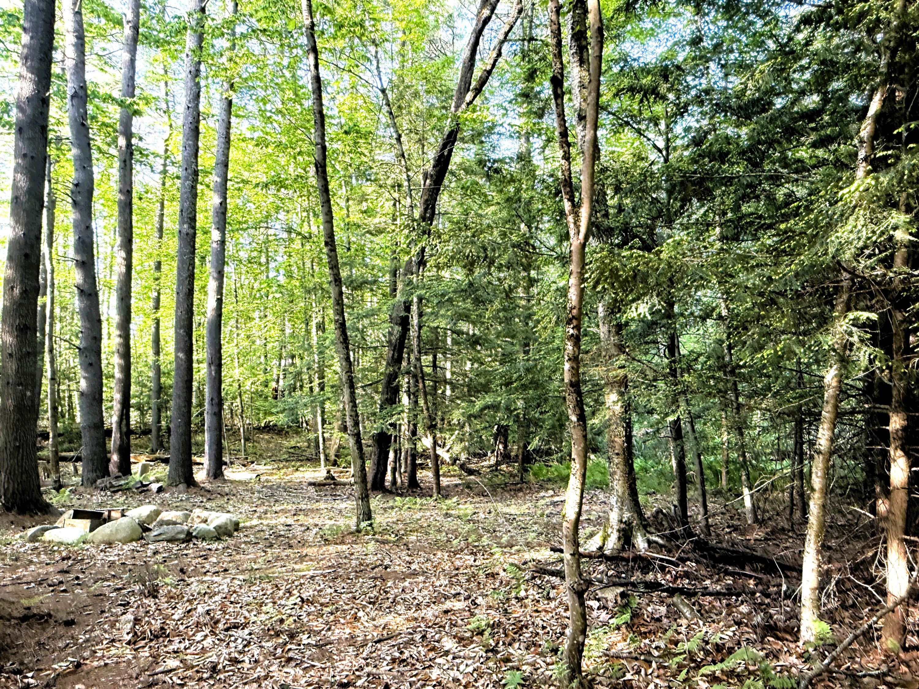 51 Beaver Dam Road Waterboro, ME 04061 - Photo 1 of 8 inside firepit 2