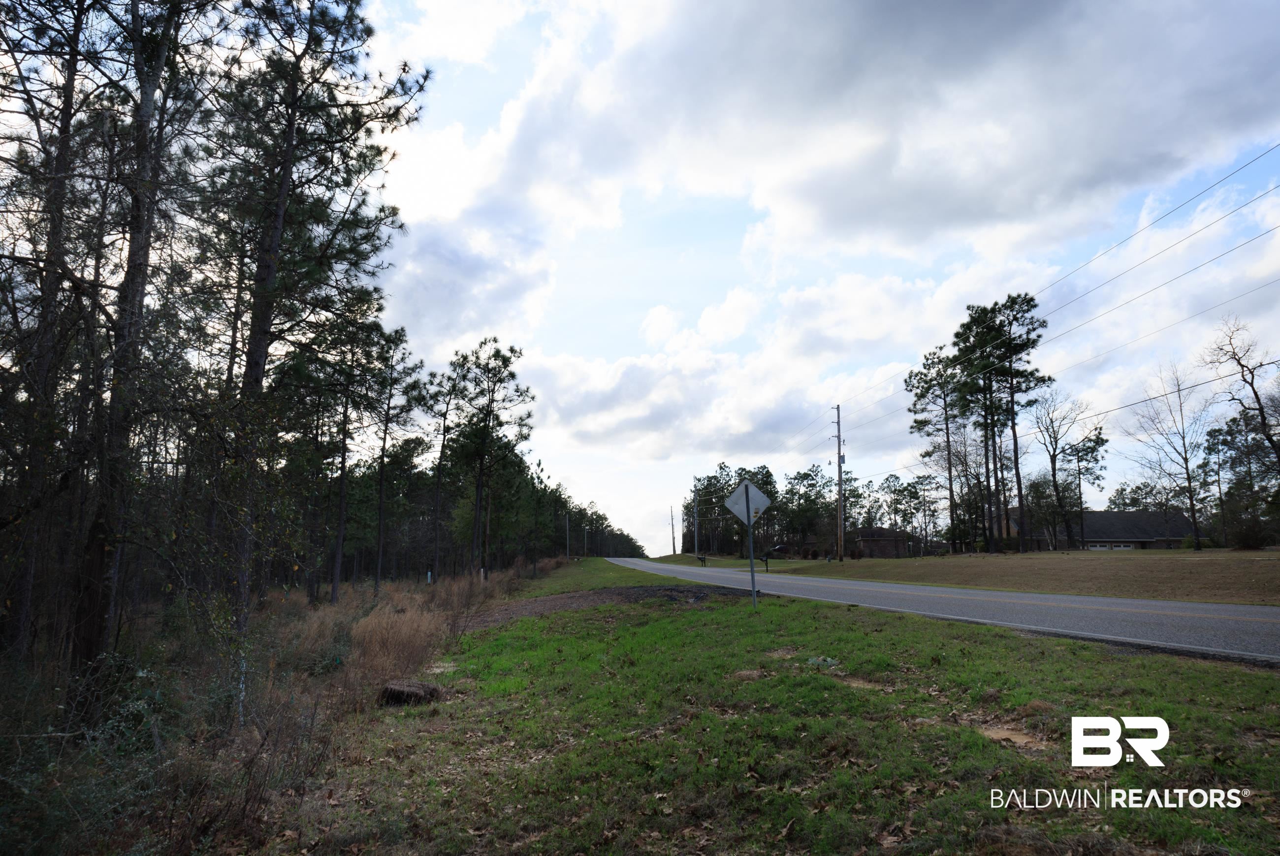 0 Bromley Road Daphne, AL 36527 - Photo 12 of 16