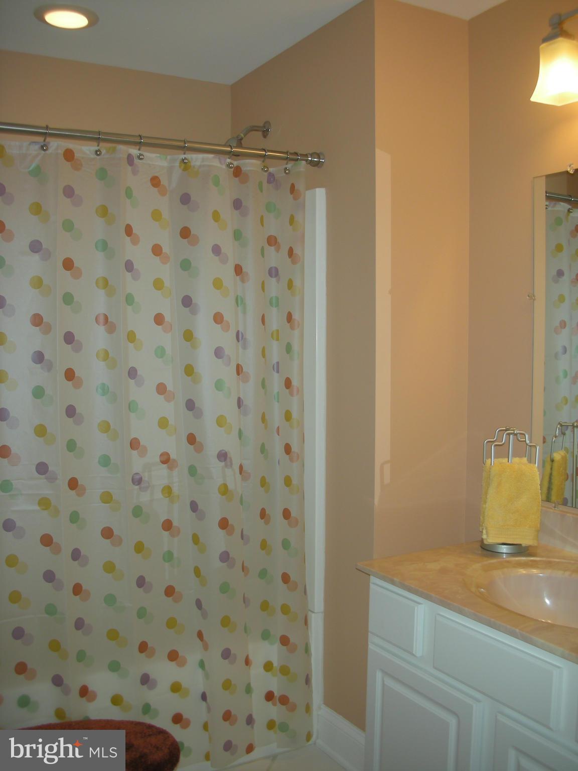14222 Hicksville Road Clear Spring, MD 21722 - Photo 15 of 30 Full Bathroom in Lower Level