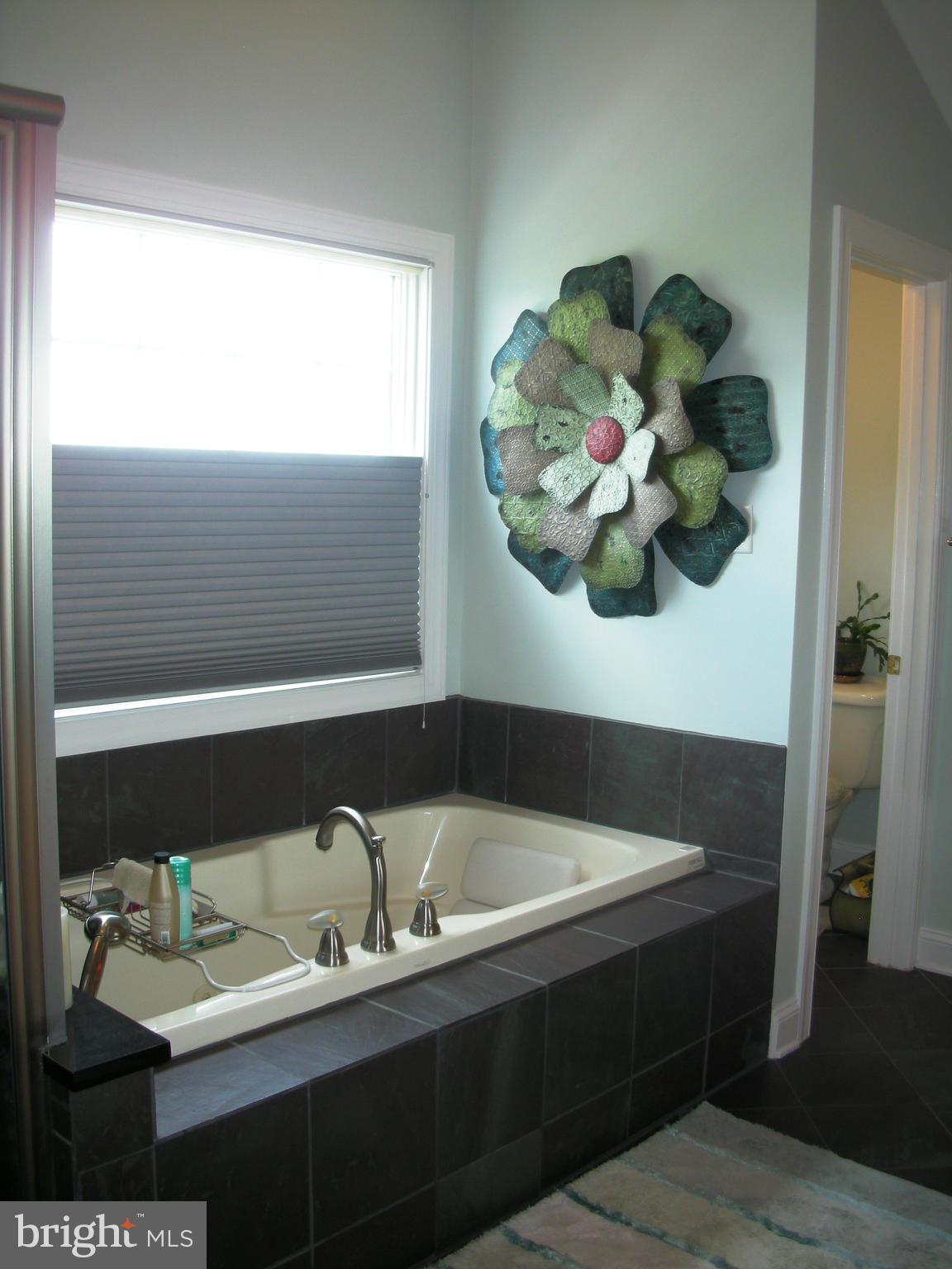 14222 Hicksville Road Clear Spring, MD 21722 - Photo 19 of 30 Deluxe Master Bath