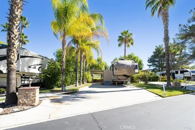 a view of a fountain with potted plants and palm trees