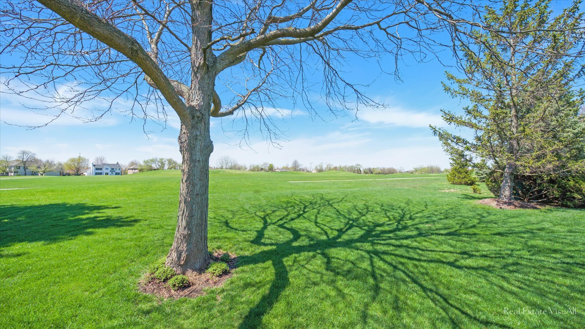1808 Edgewood Drive Algonquin, IL 60102 - Photo 31 of 39 a view of an trees with a yard