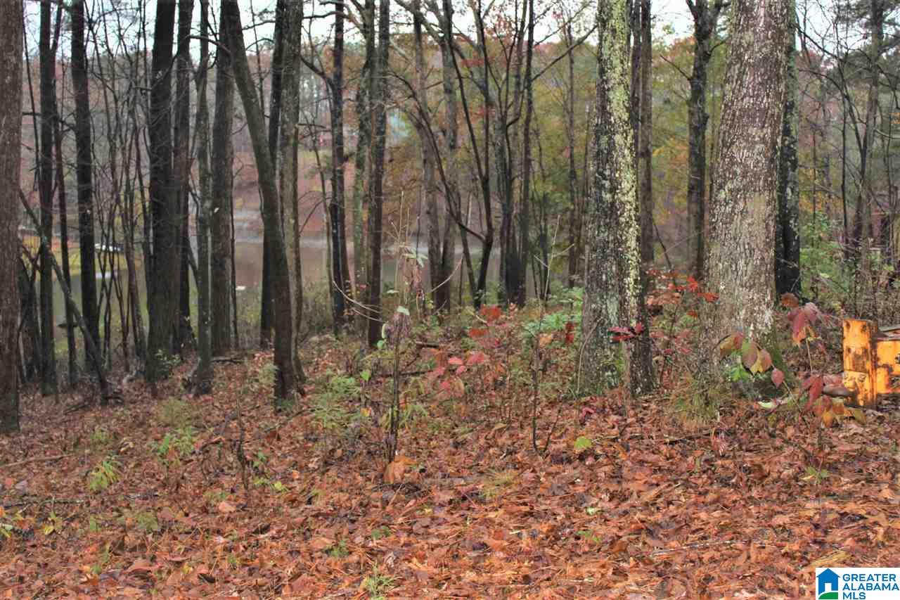 0 County Road 921, Unit 2 Delta, AL 36258 - Photo 14 of 17
