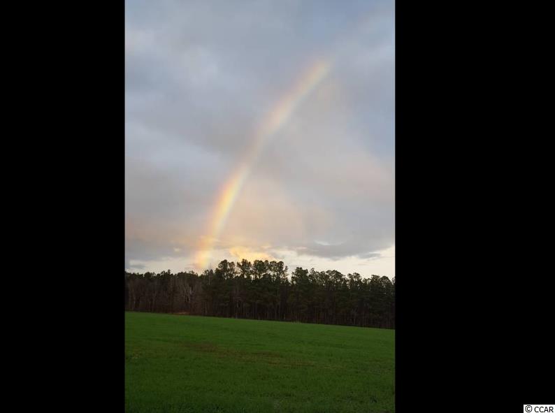 862 State Rd S-26-747 Loris, SC 29569 - Photo 20 of 22 Gallery Image 20