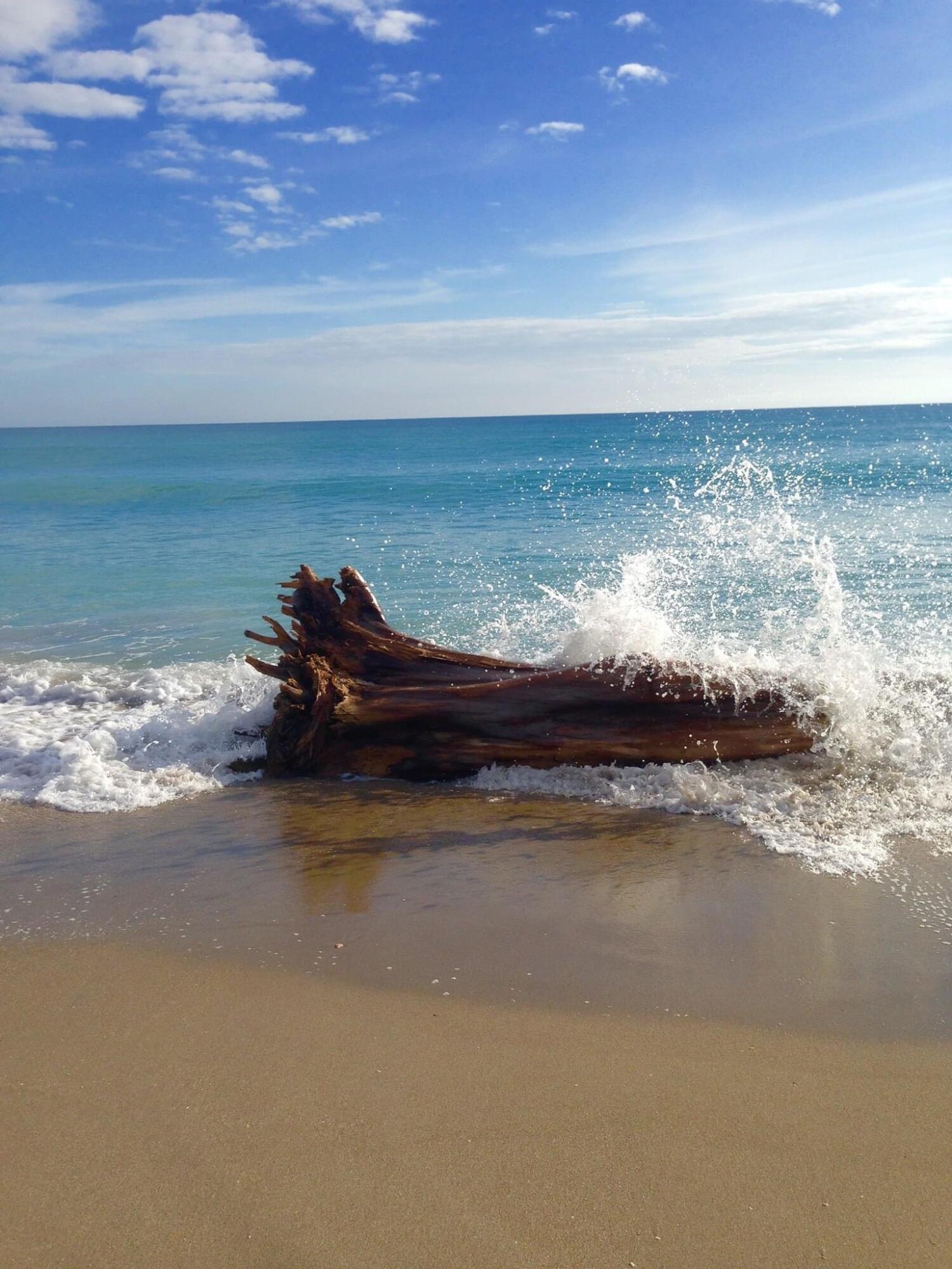 2324 23rd Court, Unit 55D Jupiter, FL 33477 - Photo 38 of 41 a view of a lake view