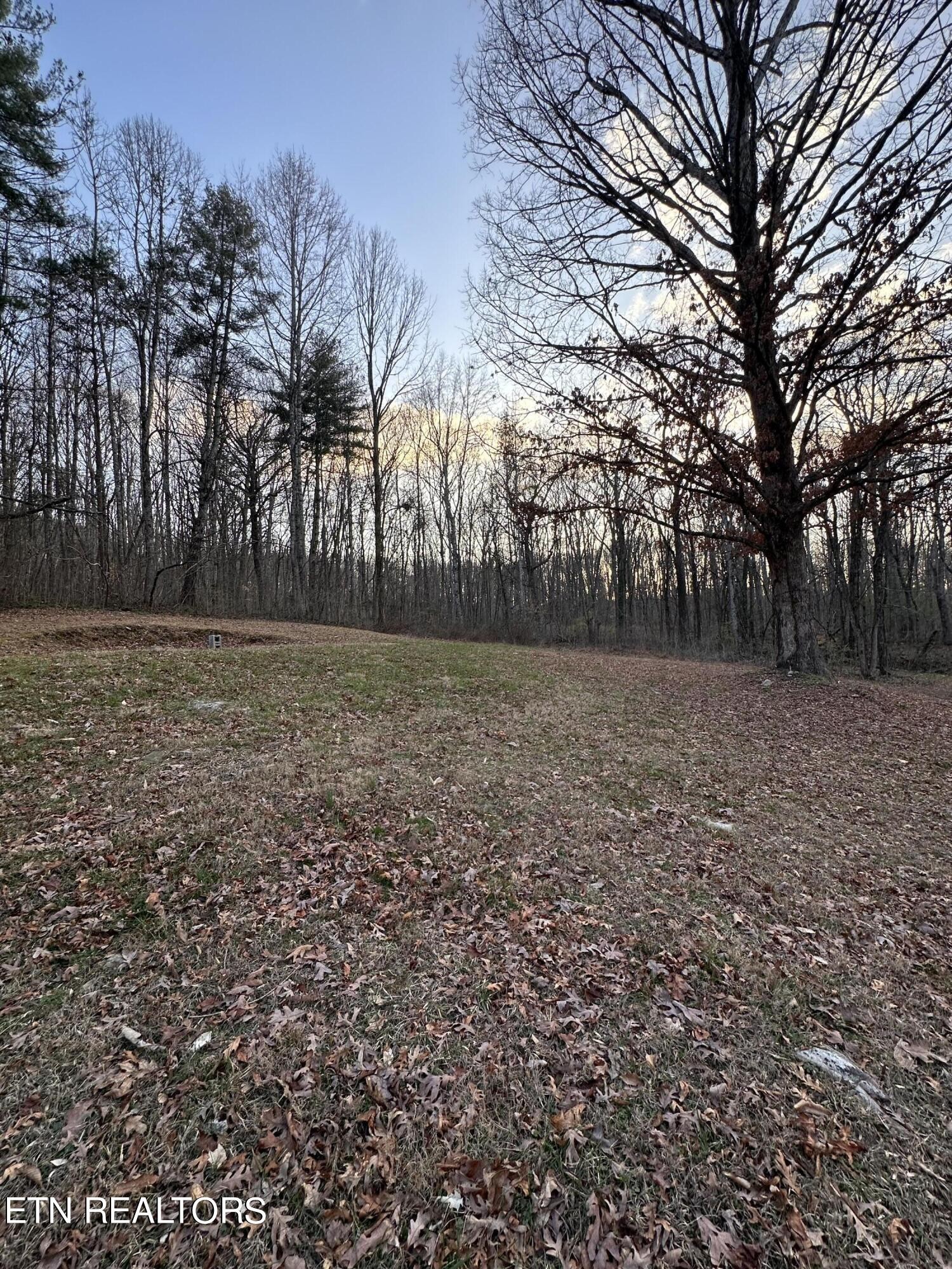 4652 Nebo Road Walland, TN 37886 - Photo 5 of 21 Gallery Image 5
