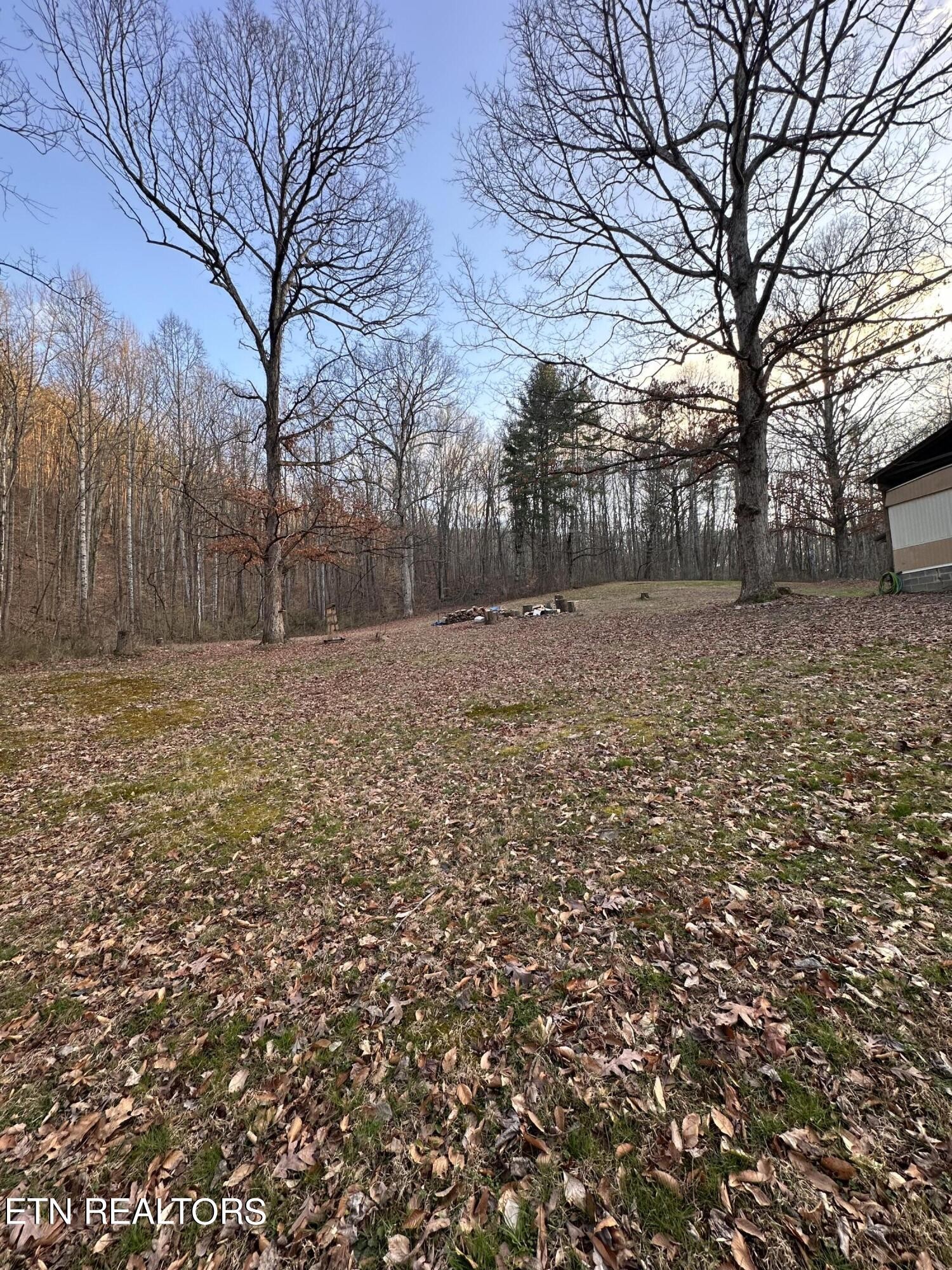 4652 Nebo Road Walland, TN 37886 - Photo 7 of 21 Gallery Image 7