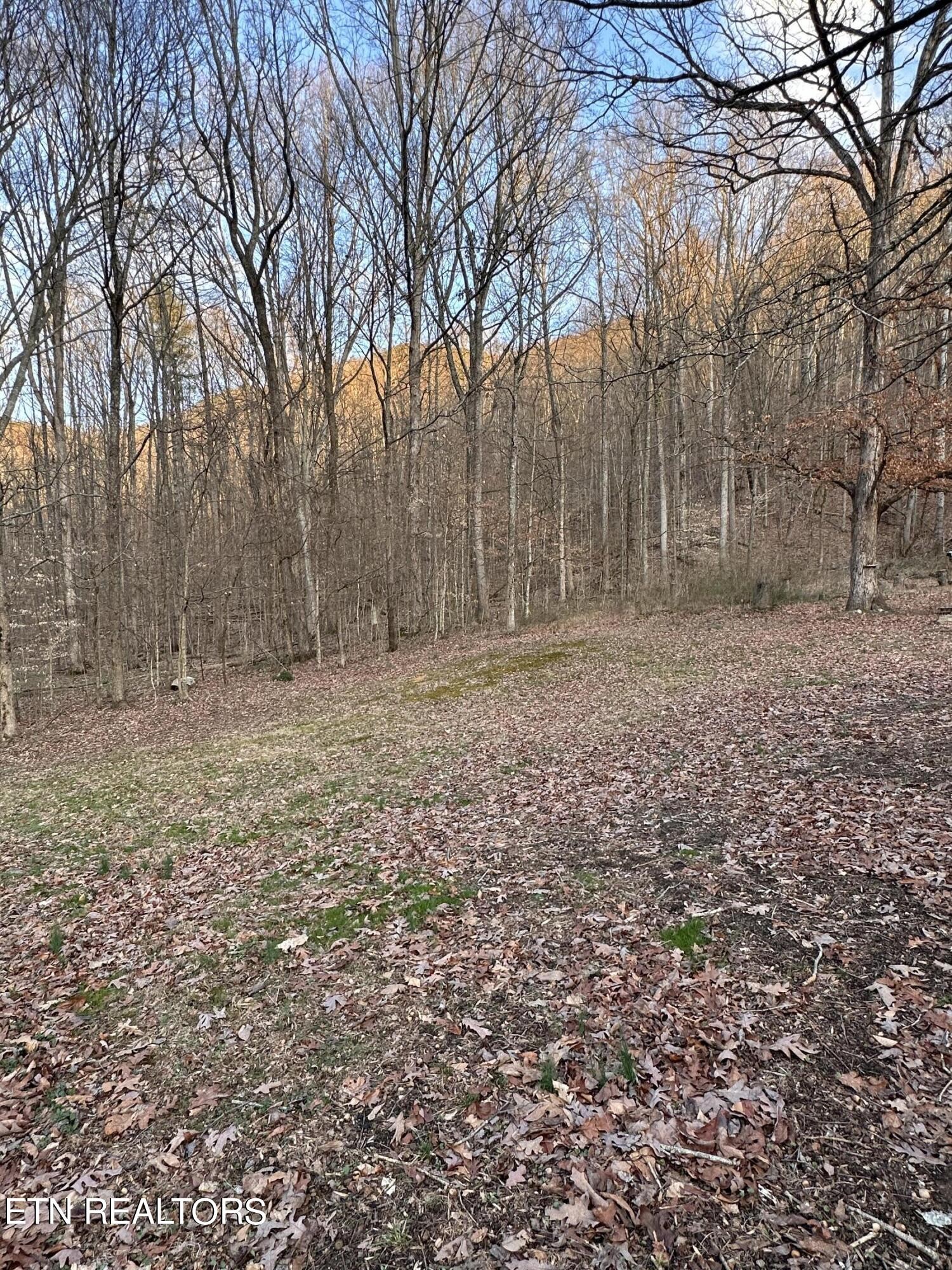 4652 Nebo Road Walland, TN 37886 - Photo 8 of 21 Gallery Image 8