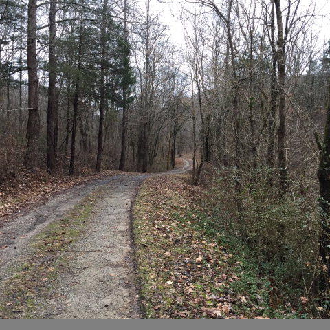 Watts Hollow Road Buffalo Valley, TN 38548 - Photo 1 of 13 Main