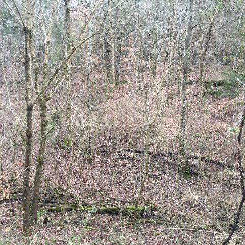 Watts Hollow Road Buffalo Valley, TN 38548 - Photo 4 of 13 Watts Hollow 4