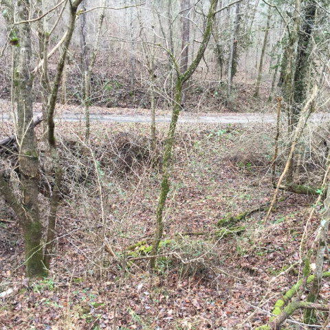 Watts Hollow Road Buffalo Valley, TN 38548 - Photo 5 of 13 Watts Hollow 5