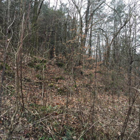 Watts Hollow Road Buffalo Valley, TN 38548 - Photo 6 of 13 Watts Hollow 6