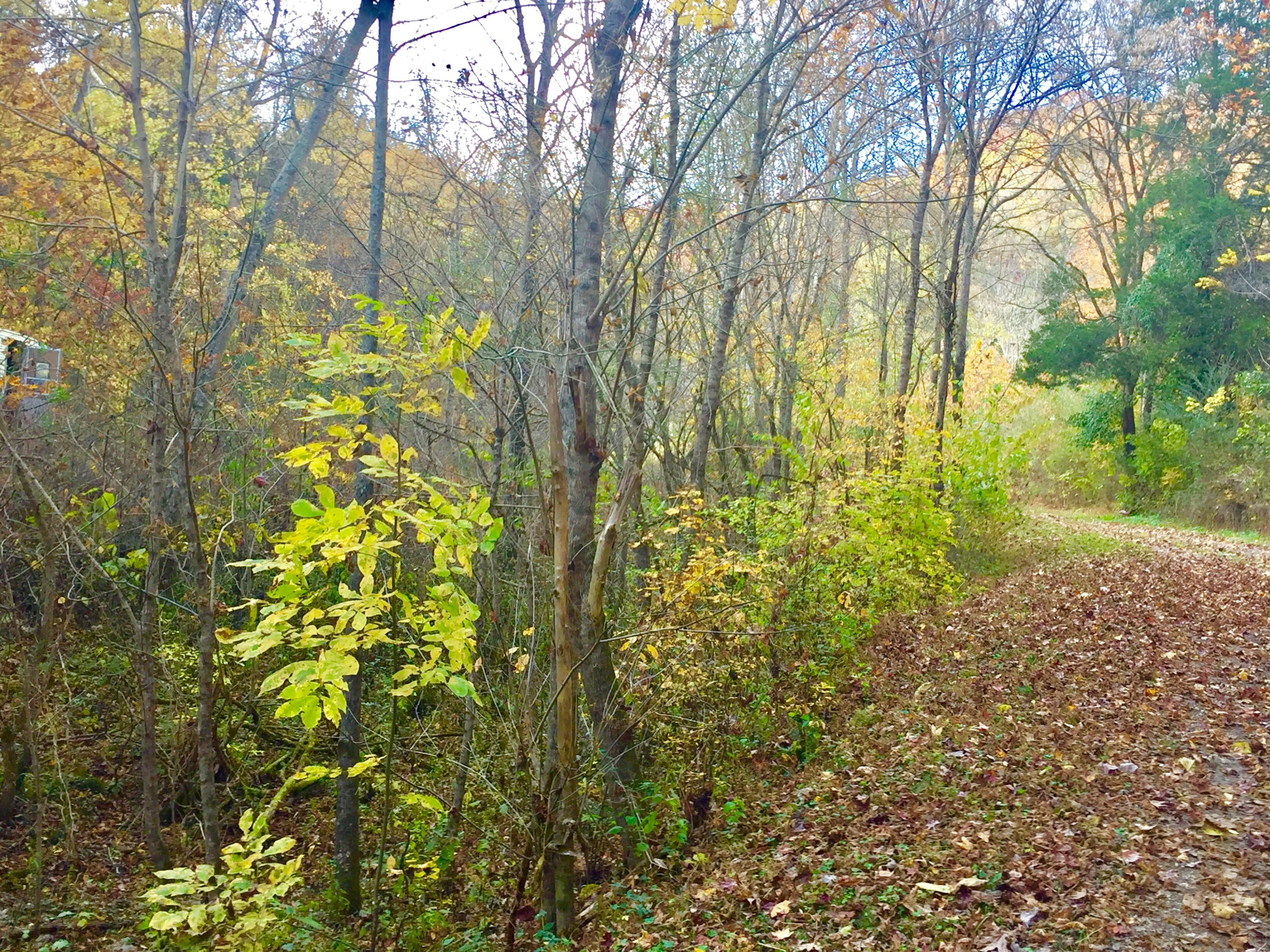 Watts Hollow Road Buffalo Valley, TN 38548 - Photo 10 of 13 FullSizeRender_1