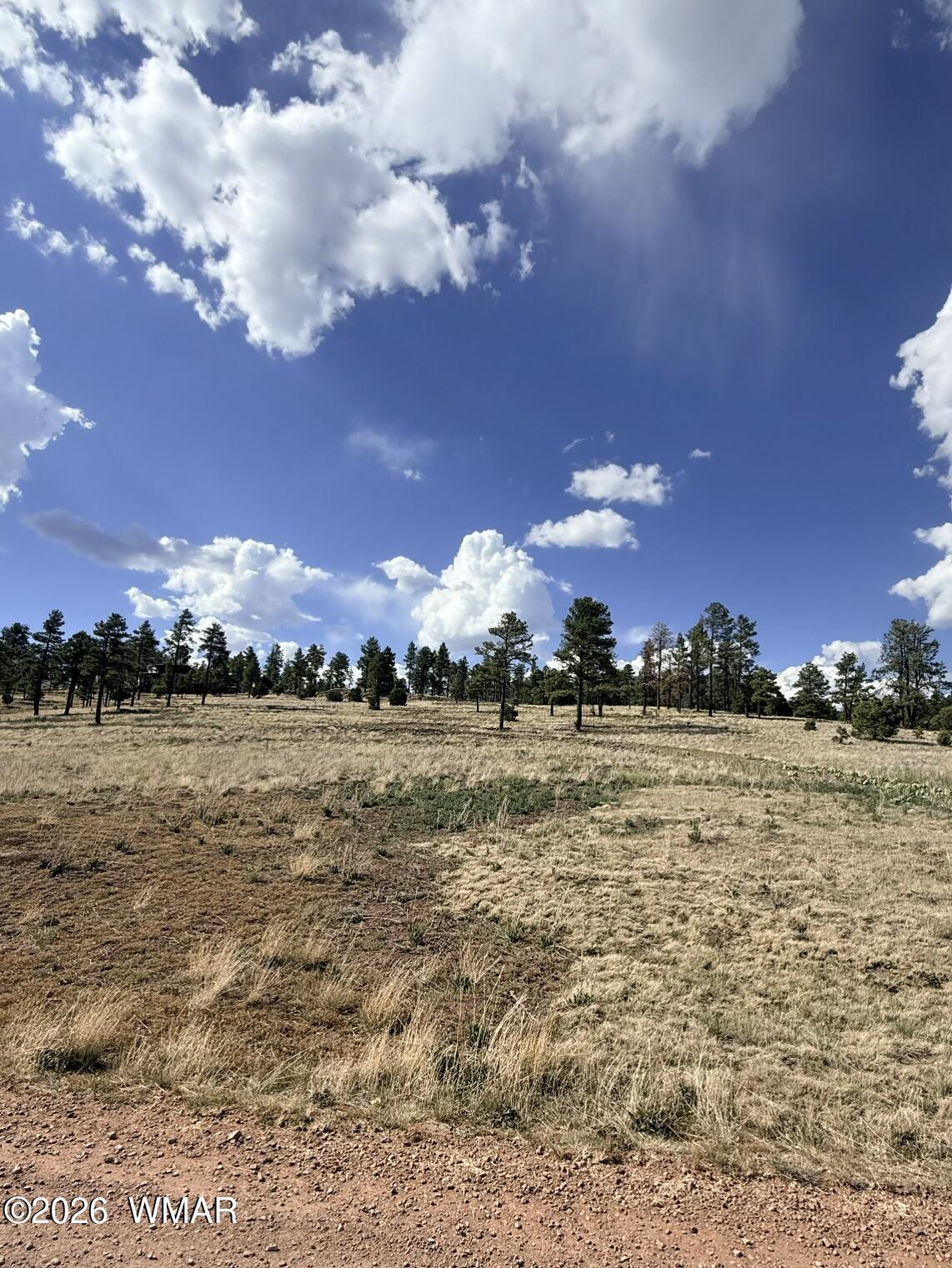 32 The Ranch Alpine, AZ 85920 - Photo 4 of 11