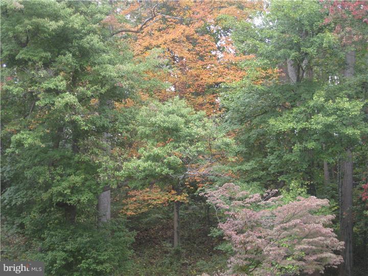 1030 Spring Valley Road Jenkintown, PA 19046 - Photo 23 of 25 View