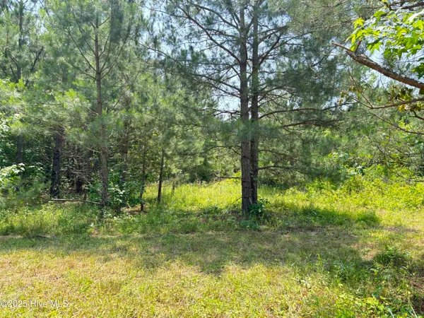 $25,000 | Lot 24 Buckhorn Church Road, Como, NC 27818