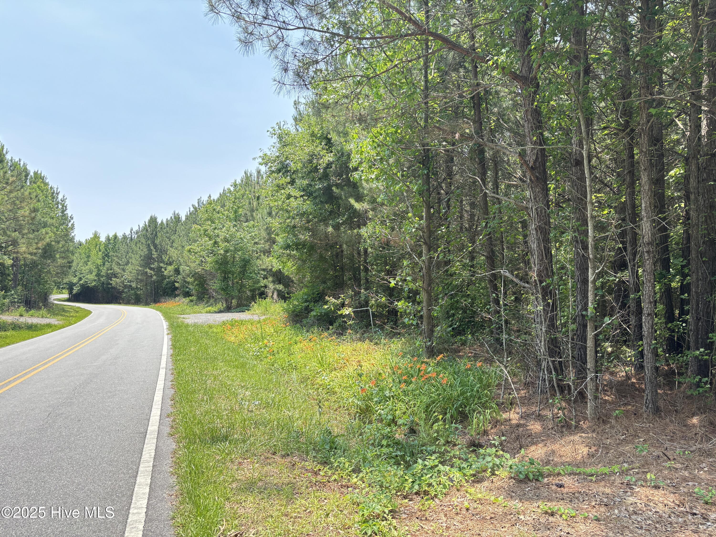 Lot 24 Buckhorn Church Road Como, NC 27818 - Photo 11 of 12 IMG_2843