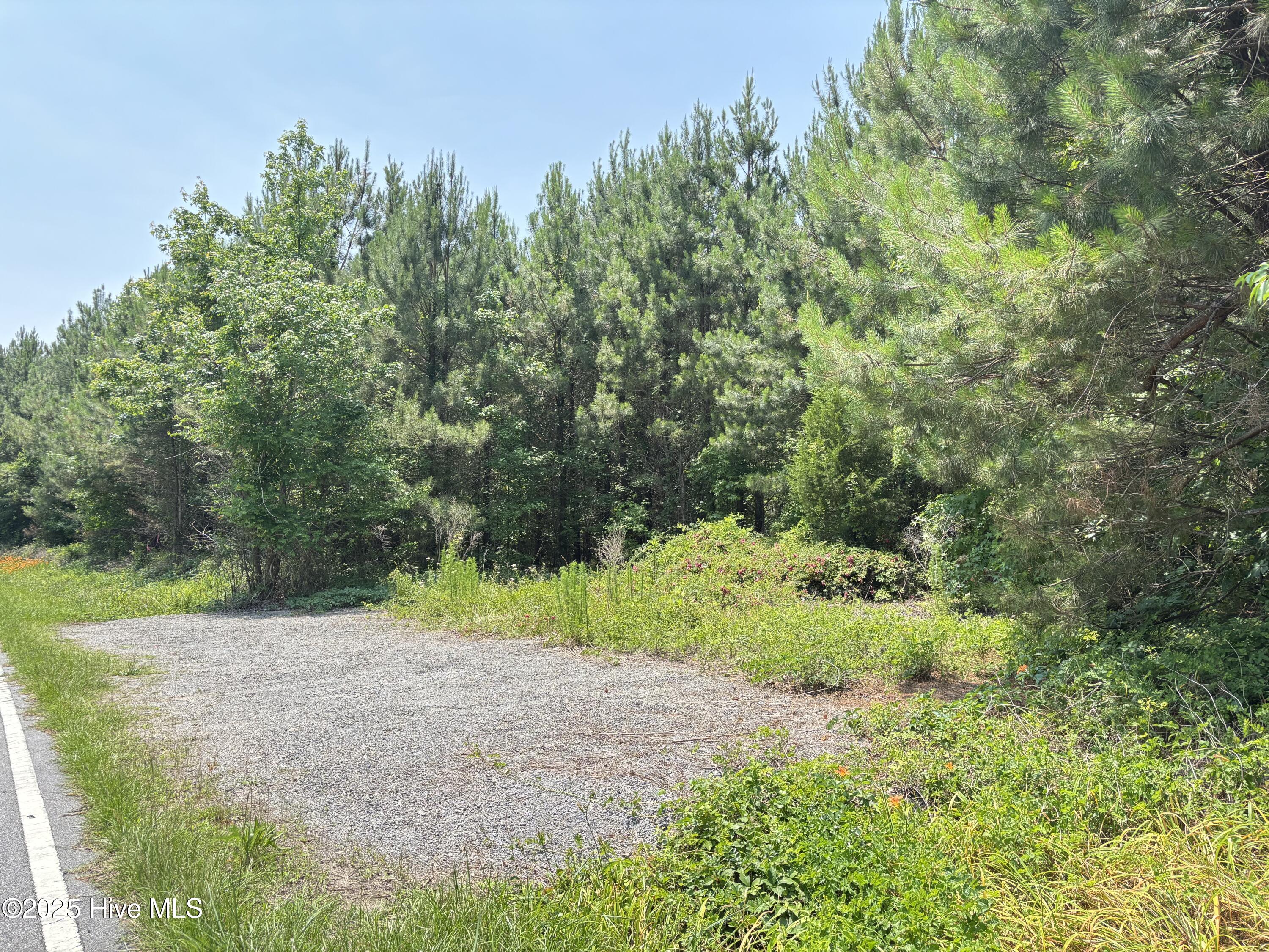 Lot 24 Buckhorn Church Road Como, NC 27818 - Photo 12 of 12 IMG_2845