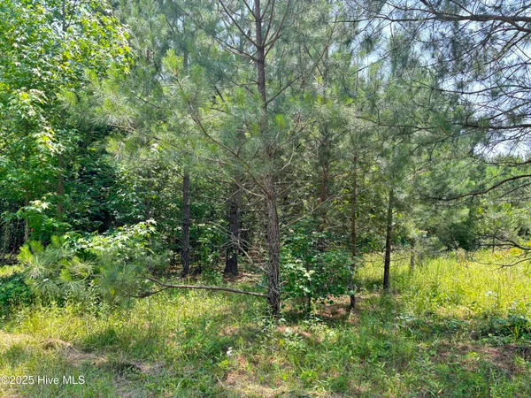 $25,000 | Lot 24 Buckhorn Church Road, Como, NC 27818