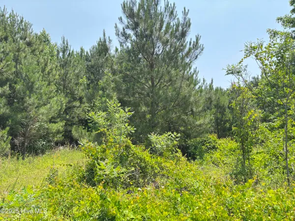 $25,000 | Lot 24 Buckhorn Church Road, Como, NC 27818