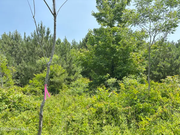 $25,000 | Lot 24 Buckhorn Church Road, Como, NC 27818