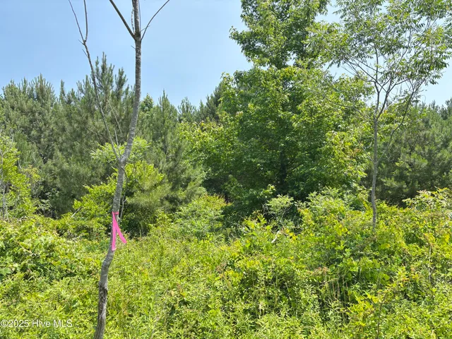 $25,000 | Lot 24 Buckhorn Church Road, Como, NC 27818