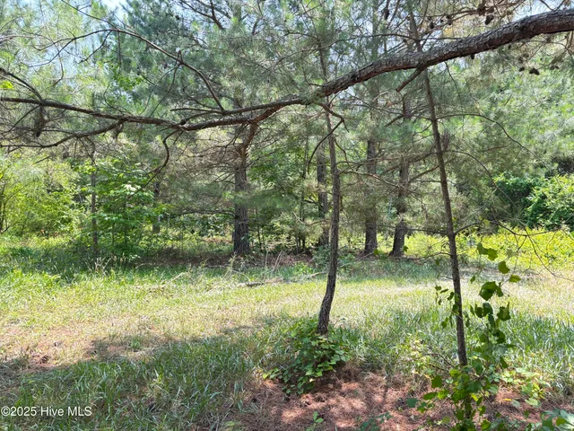 $25,000 | Lot 24 Buckhorn Church Road, Como, NC 27818