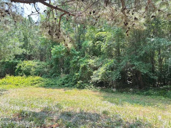 $25,000 | Lot 24 Buckhorn Church Road, Como, NC 27818