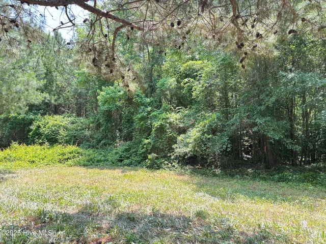 $25,000 | Lot 24 Buckhorn Church Road, Como, NC 27818