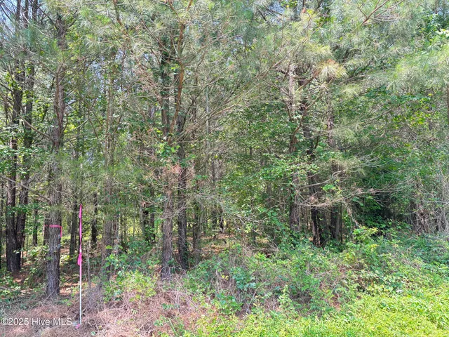 $25,000 | Lot 24 Buckhorn Church Road, Como, NC 27818