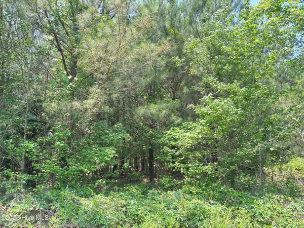 $25,000 | Lot 24 Buckhorn Church Road, Como, NC 27818