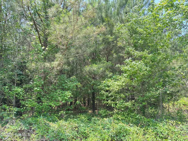 $25,000 | Lot 24 Buckhorn Church Road, Como, NC 27818