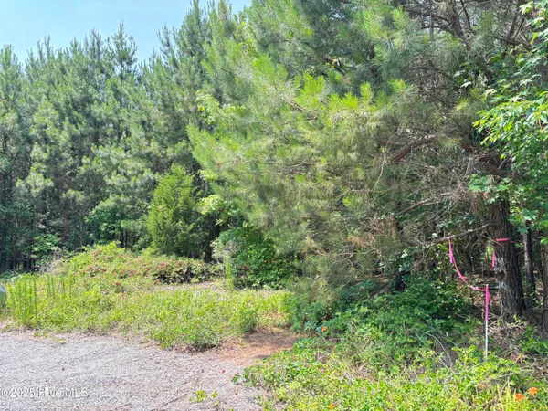 $25,000 | Lot 24 Buckhorn Church Road, Como, NC 27818