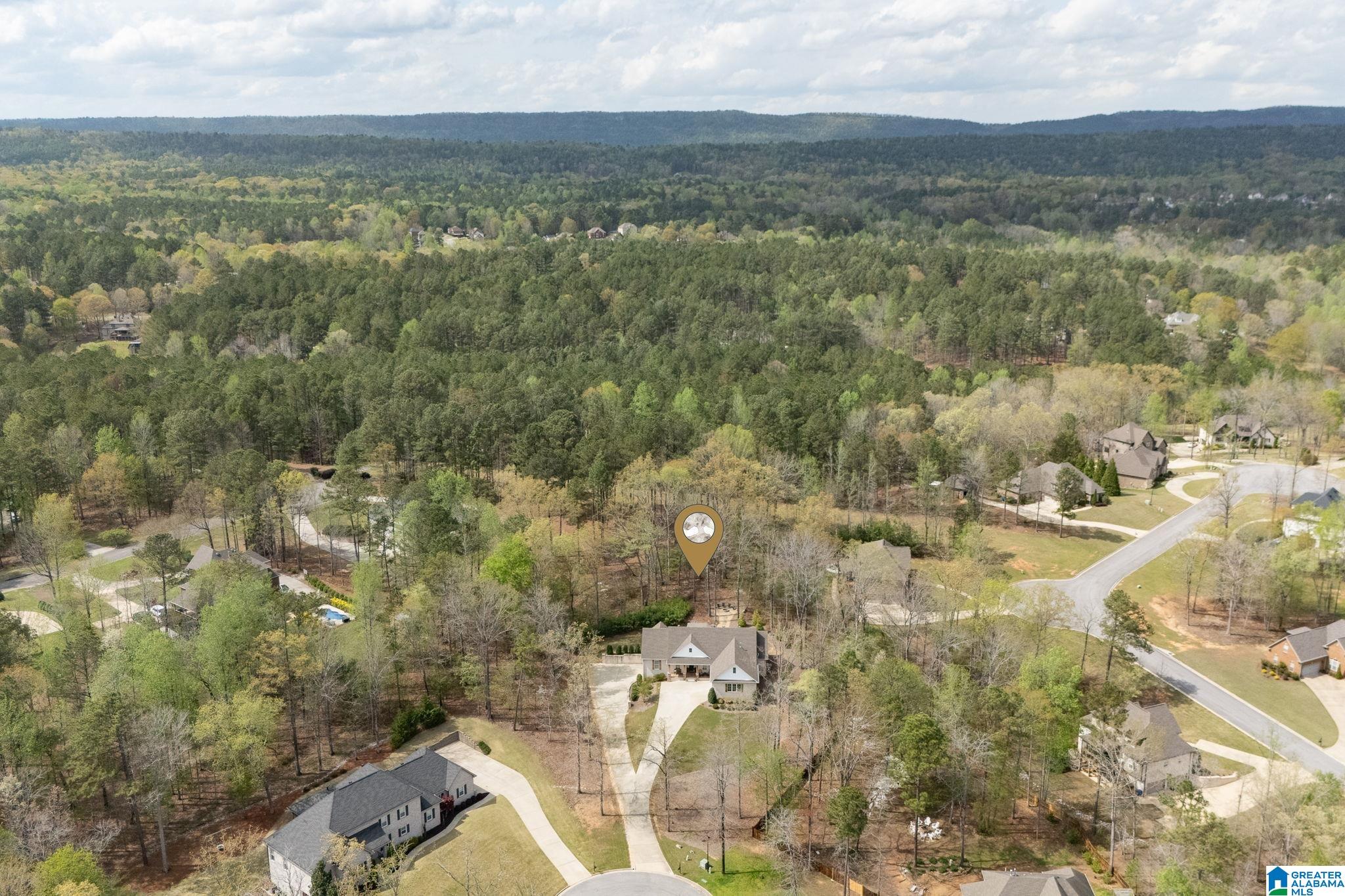 441 South Highland Ridge Lane Chelsea, AL 35043 - Photo 65 of 74