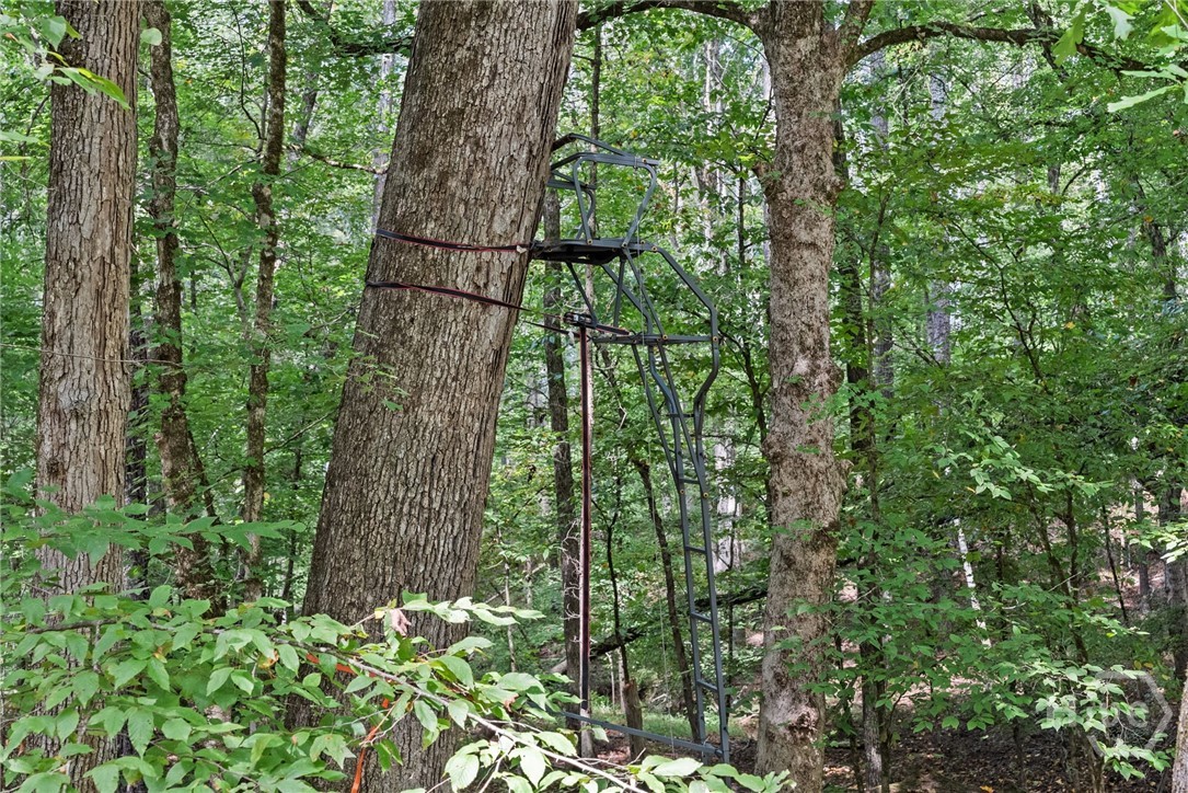 1032 Washington Road Lexington, GA 30648 - Photo 15 of 70 Gallery Image 15