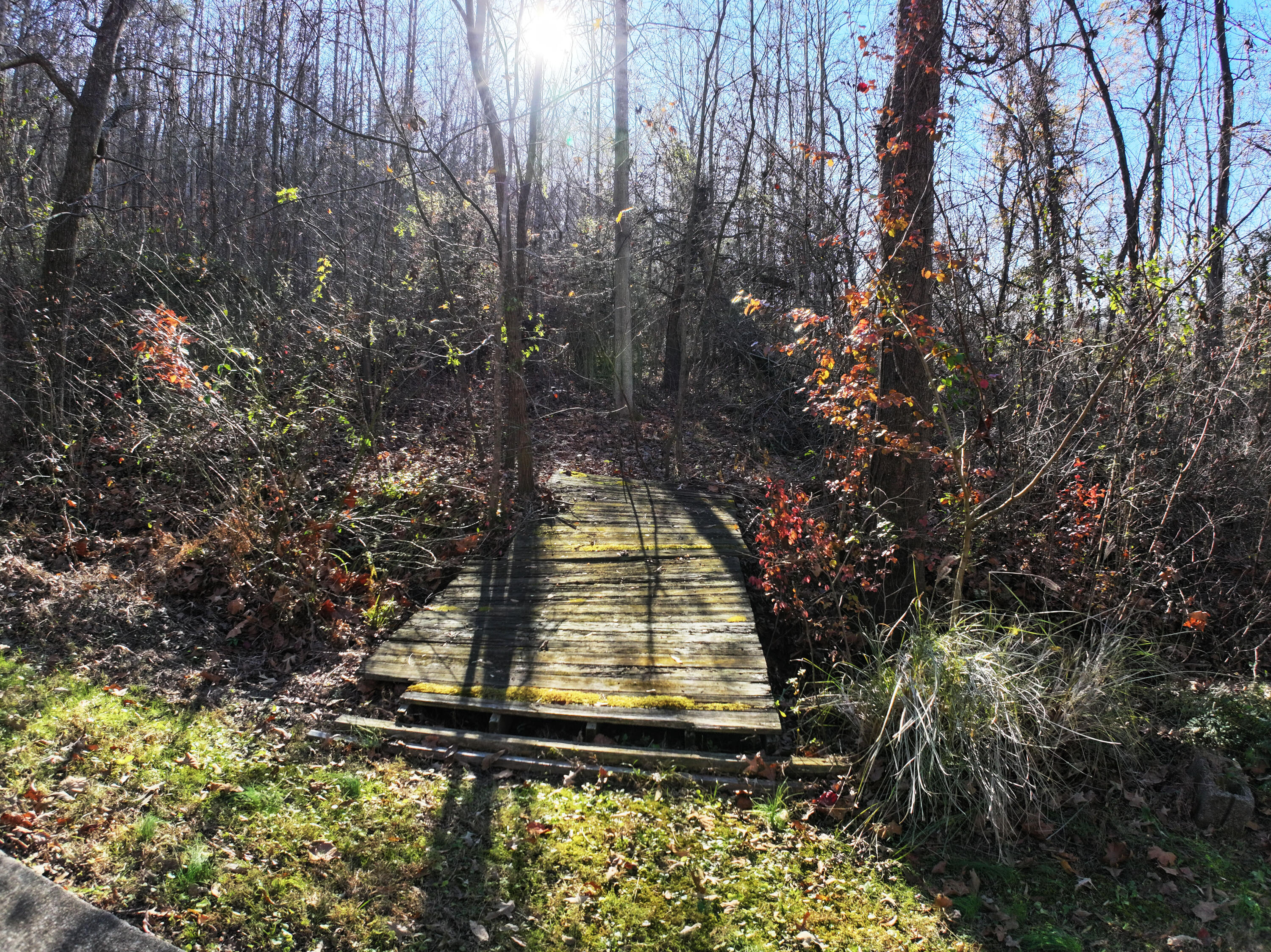 820 Sweet Lick Road Ravenna, KY 40472 - Photo 70 of 73 Step outside and enjoy a quiet stroll through nature right on your property!