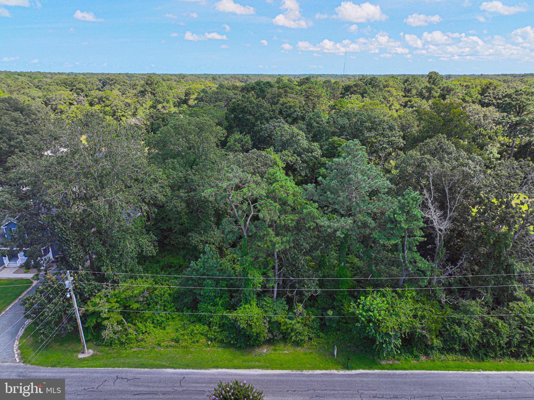 27892 Possum Point Road Millsboro, DE 19966 - Photo 4 of 21 a view of a yard