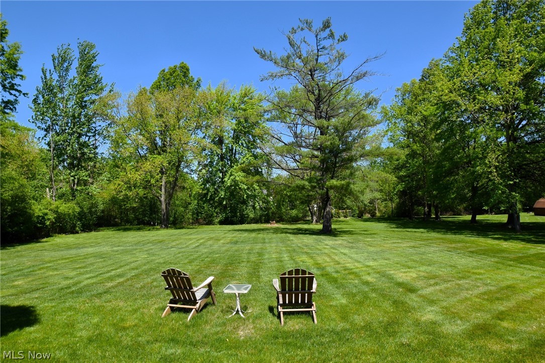 8913 Johnnycake Ridge Road Mentor, OH 44060 - Photo 46 of 50 Gorgeous green space