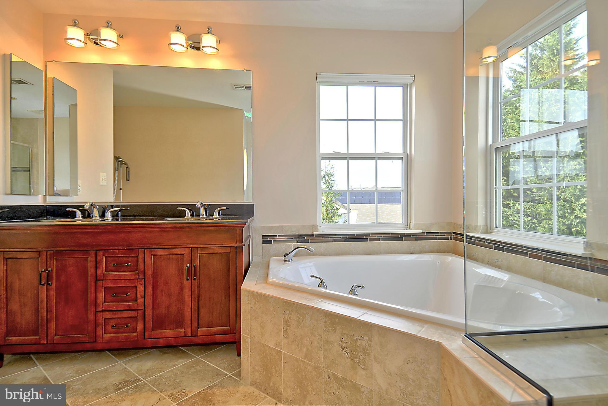 18401 Broad Leaf Road Boyds, MD 20841 - Photo 19 of 30 Bath (Master)