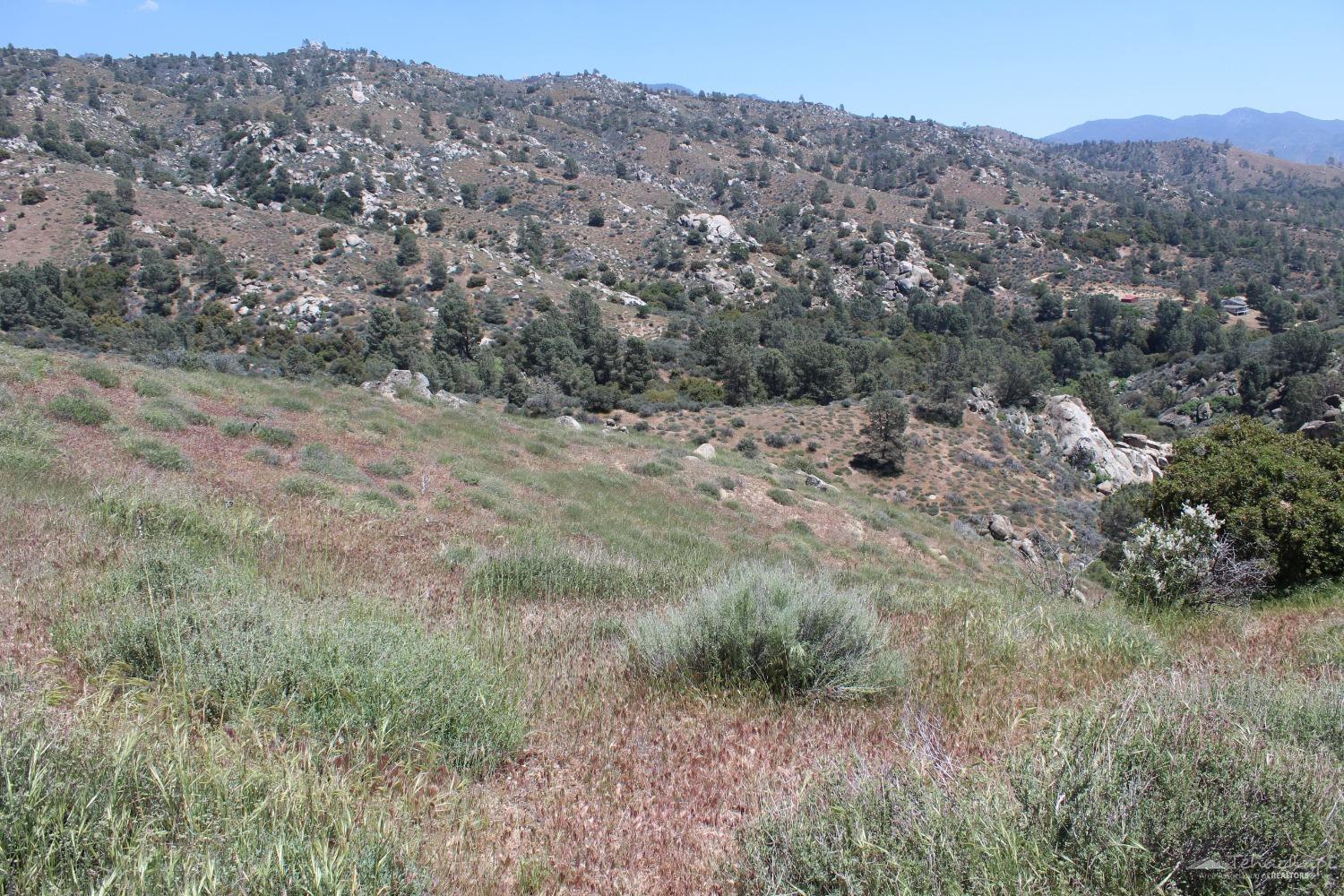 0 Piute Mountain Road Caliente, CA 93518 - Photo 21 of 35 Gallery Image 21