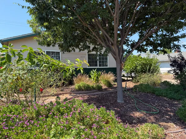 a view of outdoor space and yard